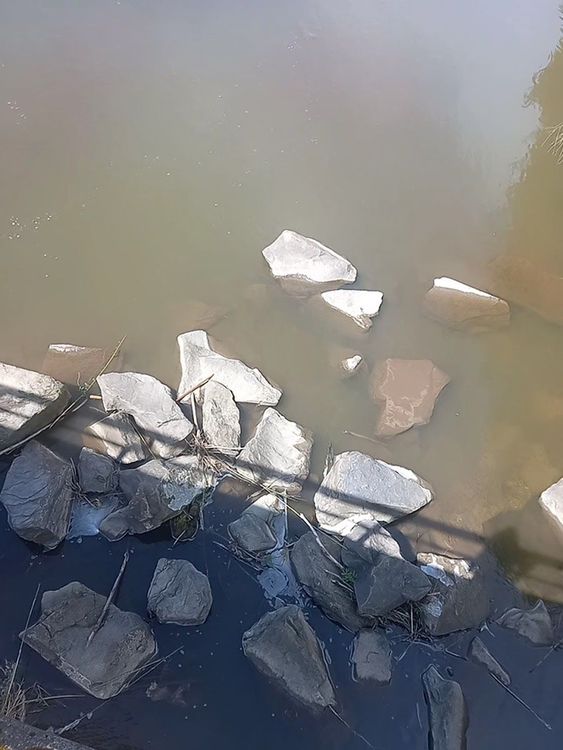 Rezerwat Przyrody Gawroniec — zdjęcie 1