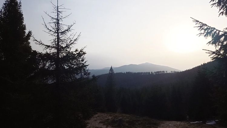 Hala Górowa — zdjęcie 1