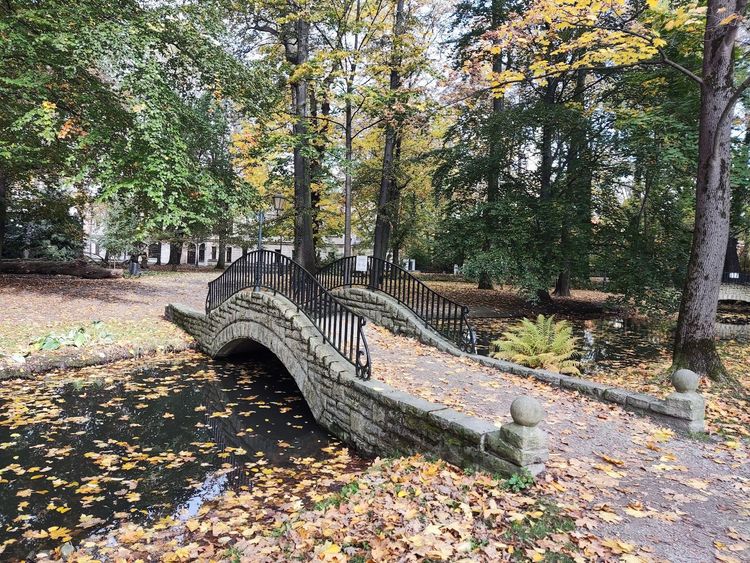 Park Zamkowy w Żywcu — zdjęcie 2