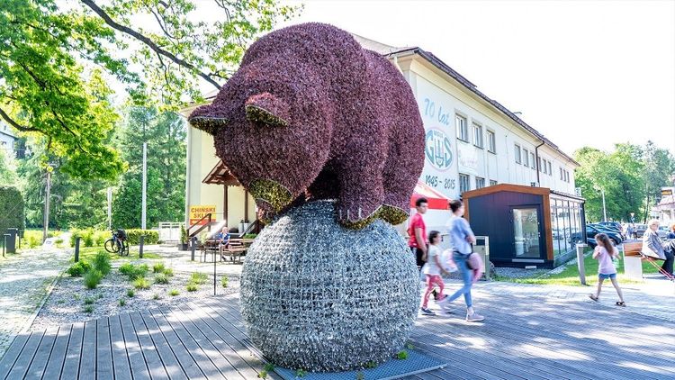 Plac Bogumiła Hoffa w Wiśle — zdjęcie 2