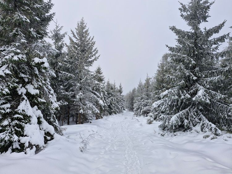 Przełęcz Salmopolska — zdjęcie 2