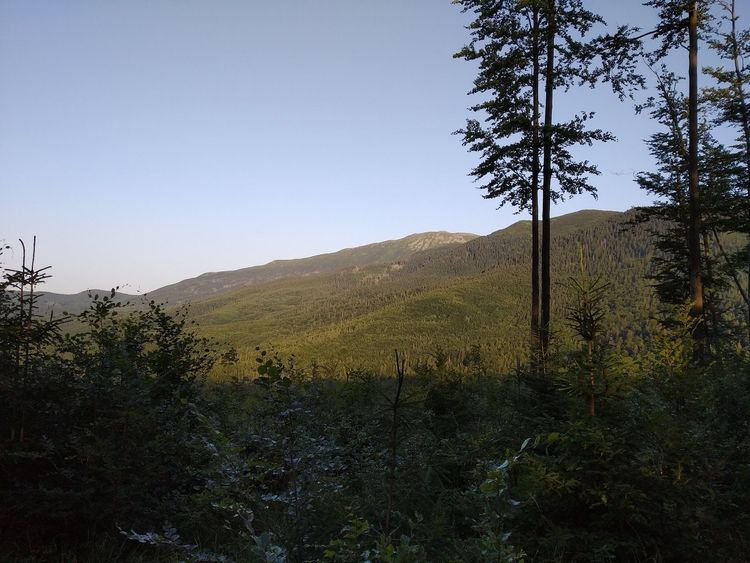 Przełęcz Tabakowe Siodło — zdjęcie 1