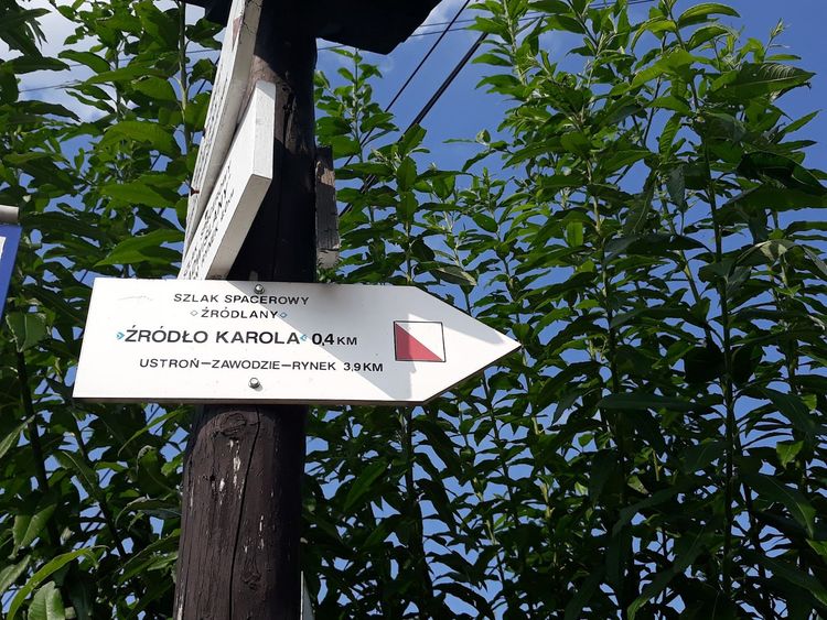 Źródło Karola 460 m n.p.m. — zdjęcie 3