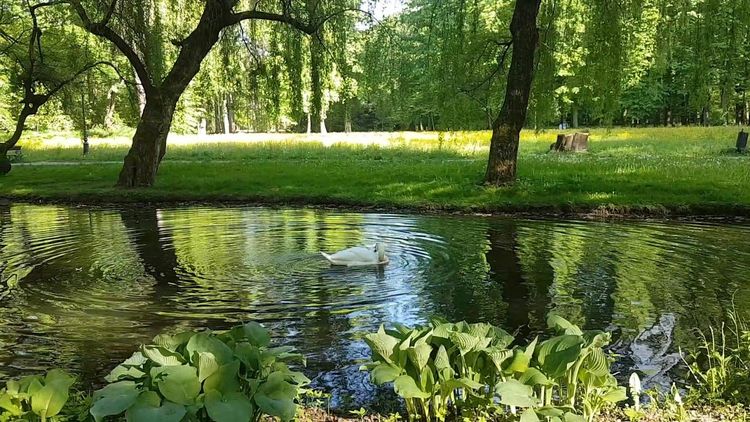 Park Zamkowy w Żywcu — zdjęcie 1