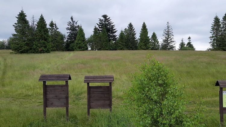 Rachowiec — zdjęcie 1