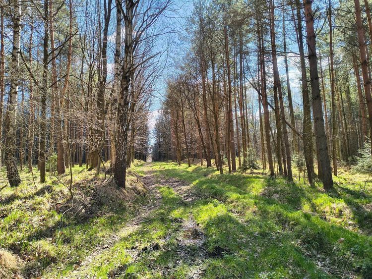 Rezerwat przyrody Rotuz — zdjęcie 1