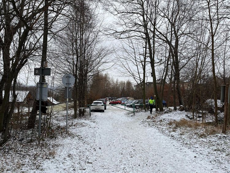 Parking leśny — zdjęcie 2
