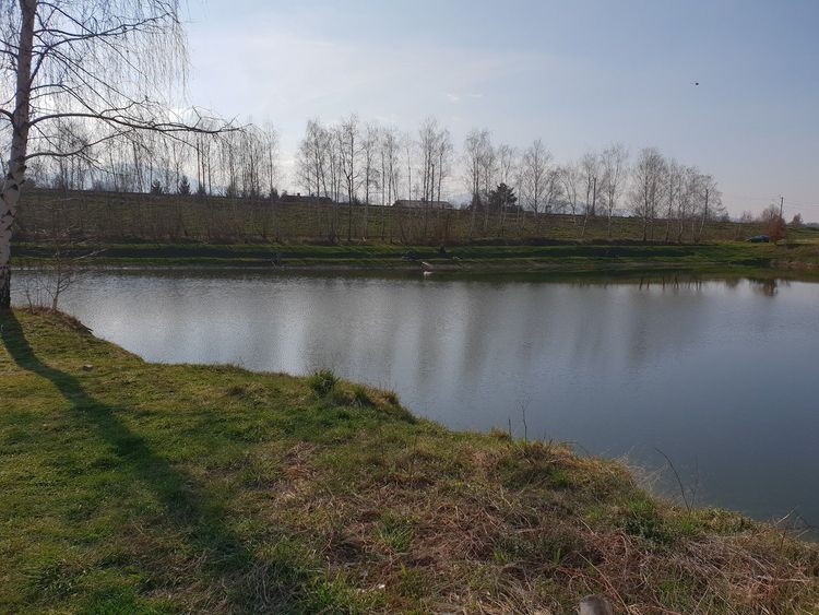 KOLO PZW "BESKIDY" LODYGOWICE — zdjęcie 1