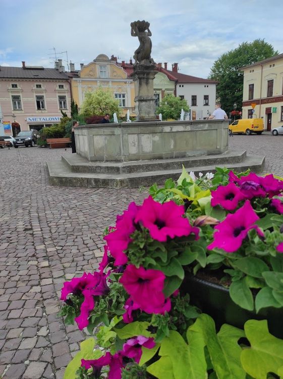 Art Adres. Biuro promocji i informacji — zdjęcie 2
