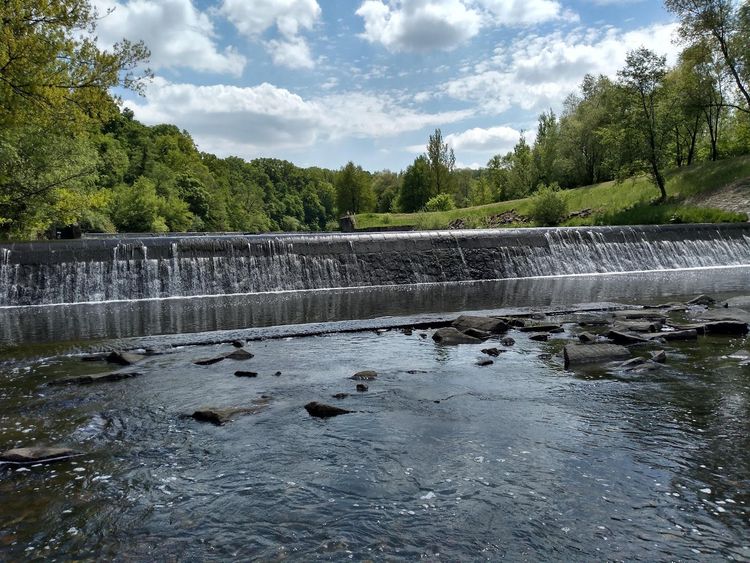 Rezerwat przyrody Lasek Miejski nad Olzą — zdjęcie 1