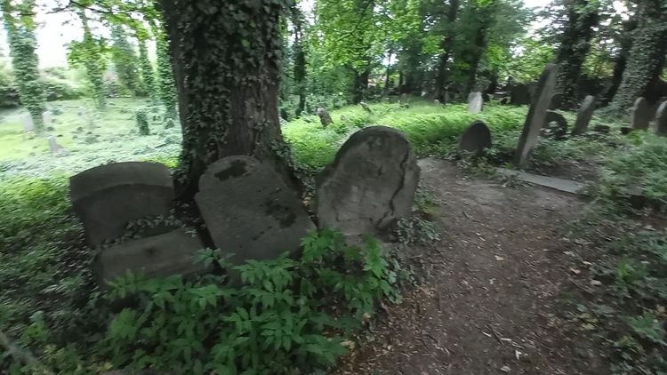Stary Cmentarz Żydowski — zdjęcie 1