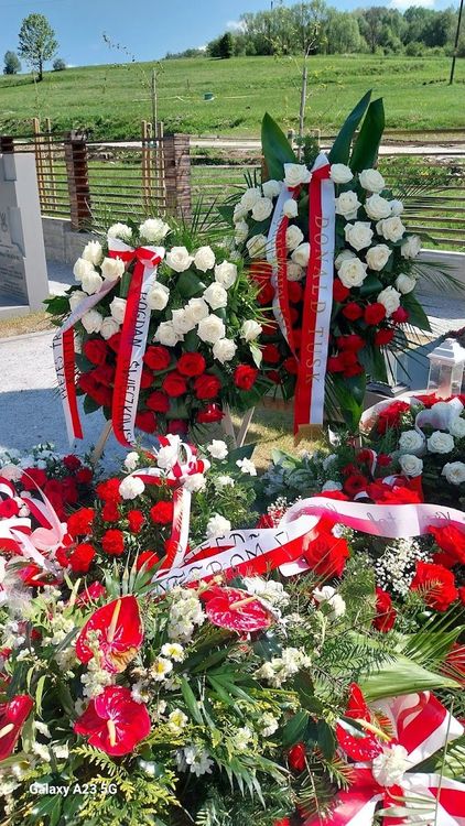 Cmentarz Wojenny Żołnierzy Narodowych Sił Zbrojnych w Kamesznicy. — zdjęcie 1